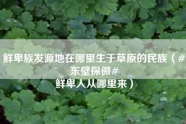 鲜卑族发源地在哪里生于草原的民族（#东壁探微# 鲜卑人从哪里来）