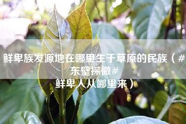 鲜卑族发源地在哪里生于草原的民族（#东壁探微# 鲜卑人从哪里来）