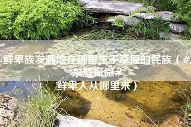 鲜卑族发源地在哪里生于草原的民族（#东壁探微# 鲜卑人从哪里来）