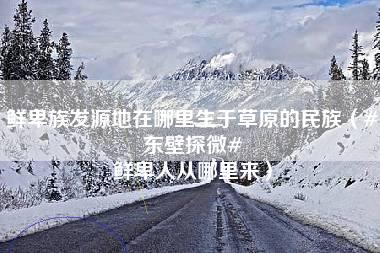 鲜卑族发源地在哪里生于草原的民族（#东壁探微# 鲜卑人从哪里来）