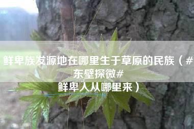 鲜卑族发源地在哪里生于草原的民族（#东壁探微# 鲜卑人从哪里来）