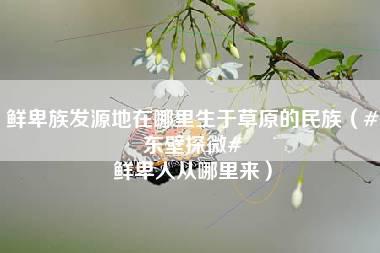 鲜卑族发源地在哪里生于草原的民族（#东壁探微# 鲜卑人从哪里来）