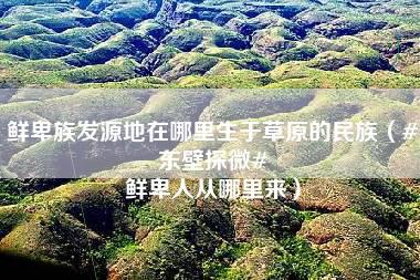 鲜卑族发源地在哪里生于草原的民族（#东壁探微# 鲜卑人从哪里来）