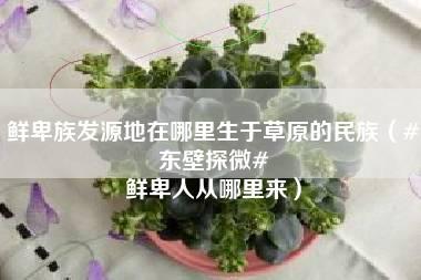 鲜卑族发源地在哪里生于草原的民族（#东壁探微# 鲜卑人从哪里来）