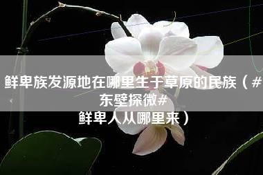 鲜卑族发源地在哪里生于草原的民族（#东壁探微# 鲜卑人从哪里来）