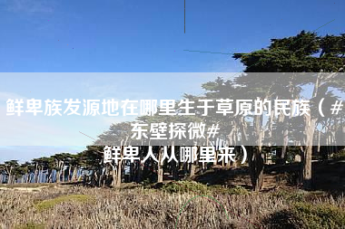 鲜卑族发源地在哪里生于草原的民族（#东壁探微# 鲜卑人从哪里来）