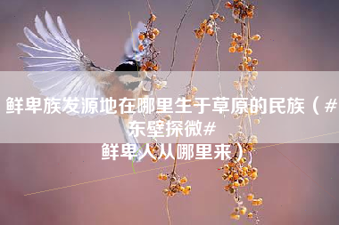 鲜卑族发源地在哪里生于草原的民族（#东壁探微# 鲜卑人从哪里来）