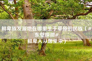 鲜卑族发源地在哪里生于草原的民族（#东壁探微# 鲜卑人从哪里来）